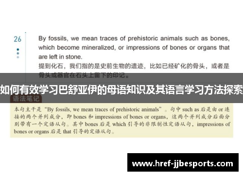 如何有效学习巴舒亚伊的母语知识及其语言学习方法探索